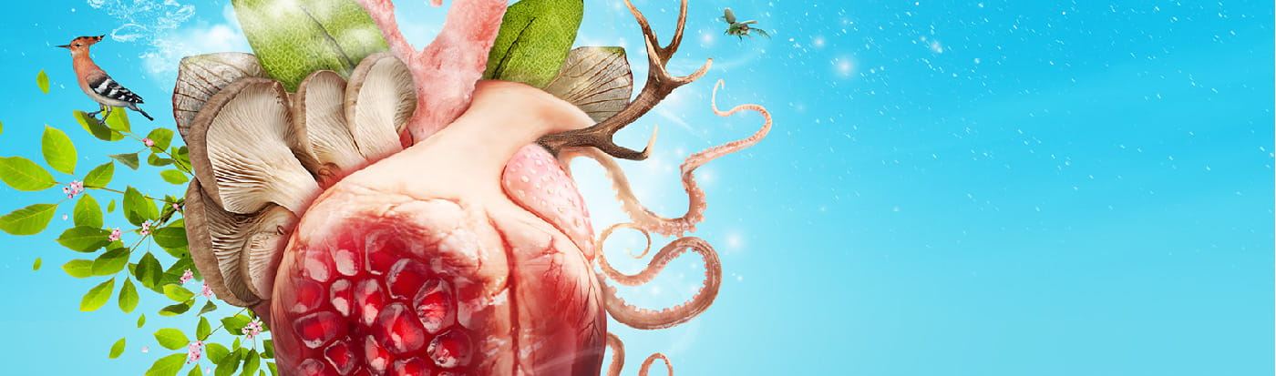 Explorer la nature, raconter le vivant : volet 2 des restitutions des parcours super espèces - Ombelliscience - La culture scientifique en Hauts de France