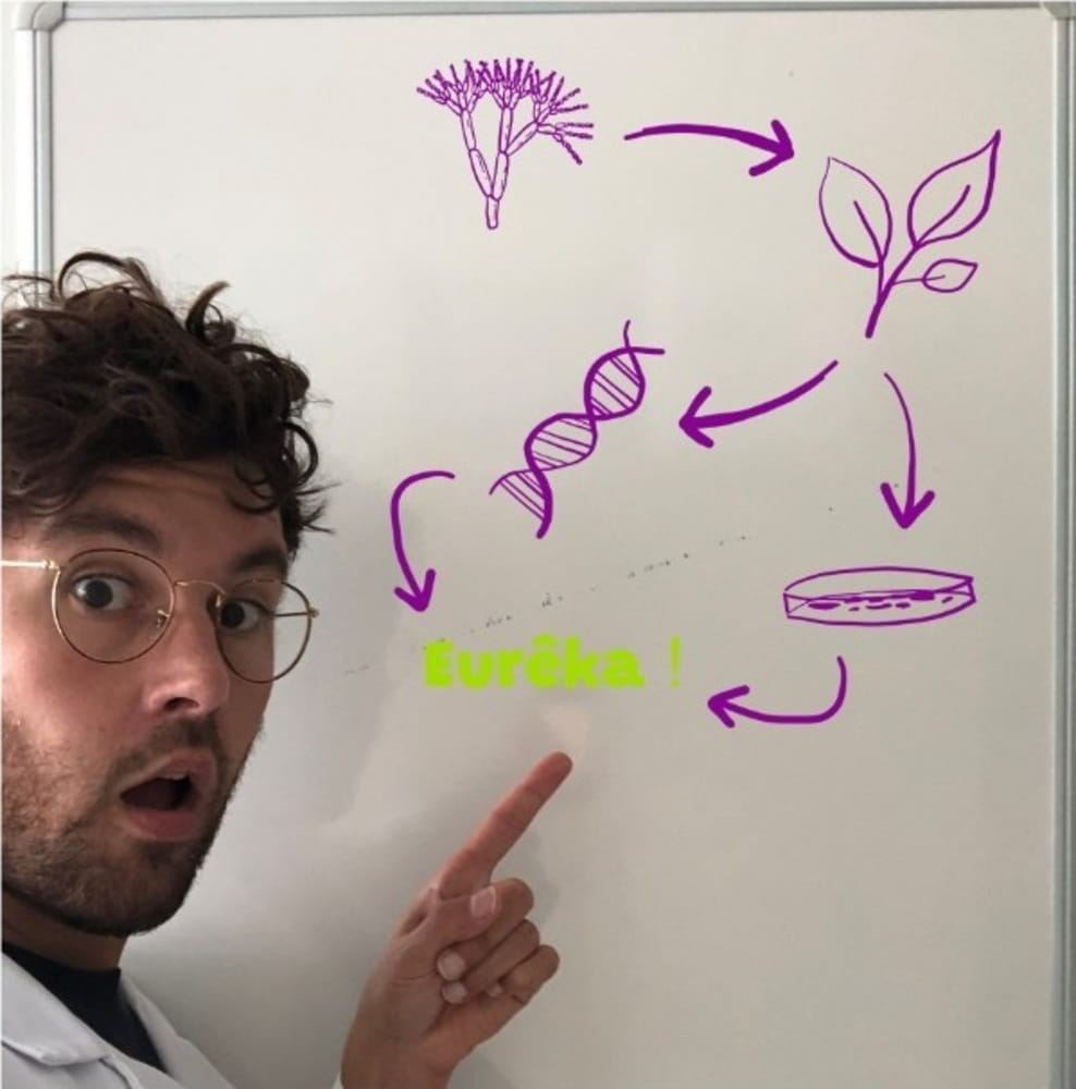 Photo de Sylvain Lecomte, membre du bureau de Ombelliscience